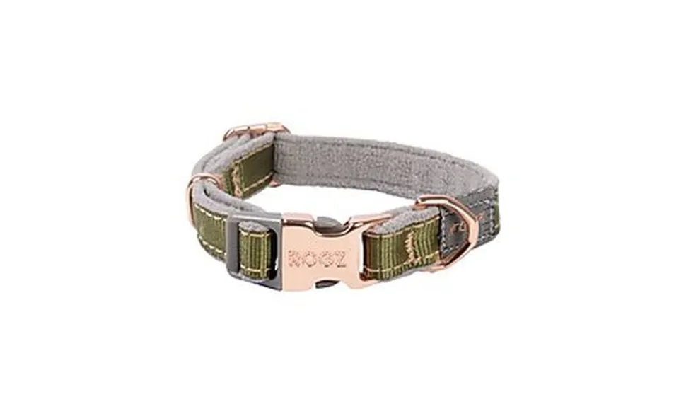Rogz - Collier Urban Olive pour Chiens