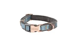 Rogz - Collier Urban Turquoise pour Chiens