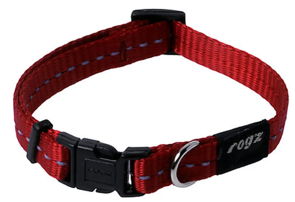 Rogz - Collier Utility Rouge pour Chiens - XS 16/22