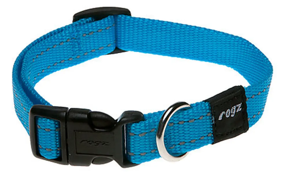 Rogz - Collier Utility Turquoise pour Chiens