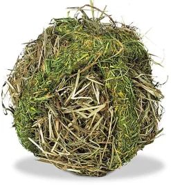 Rongis - BOULE DE FOIN pour rongeurs - 125g