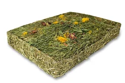 Rongis - CARRE NATURE HERBES FLEURS pour Rongeurs - 750G