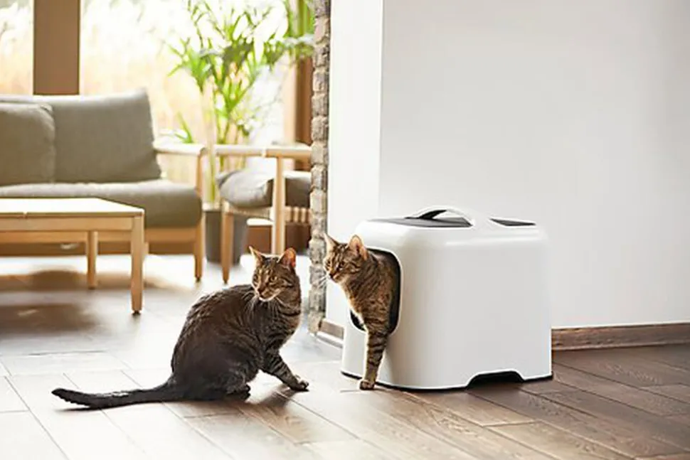 Rotho MyPet - Maison de Toilette Biala pour Chat - Blanc