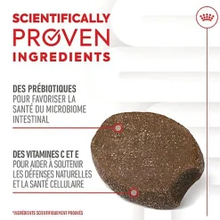 Royal Canin - Aliment Complémentaire Immunity & Digestion pour Chiots - 100g