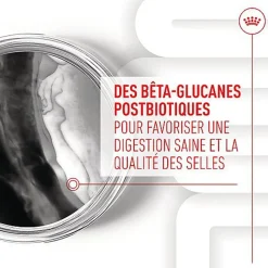 Royal Canin - Aliment Complémentaire Immunity & Digestion pour Chiots - 100g