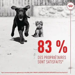 Royal Canin - Aliment Complémentaire Immunity & Digestion pour Chiots - 100g