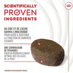 Royal Canin - Aliment Complémentaire Adult Skin & Coat Chews pour Chiens - 240g