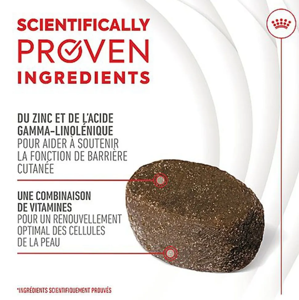 Royal Canin - Aliment Complémentaire Adult Skin & Coat Chews pour Chiens - 240g