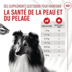 Royal Canin - Aliment Complémentaire Adult Skin & Coat Chews pour Chiens - 240g
