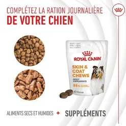 Royal Canin - Aliment Complémentaire Adult Skin & Coat Chews pour Chiens - 240g