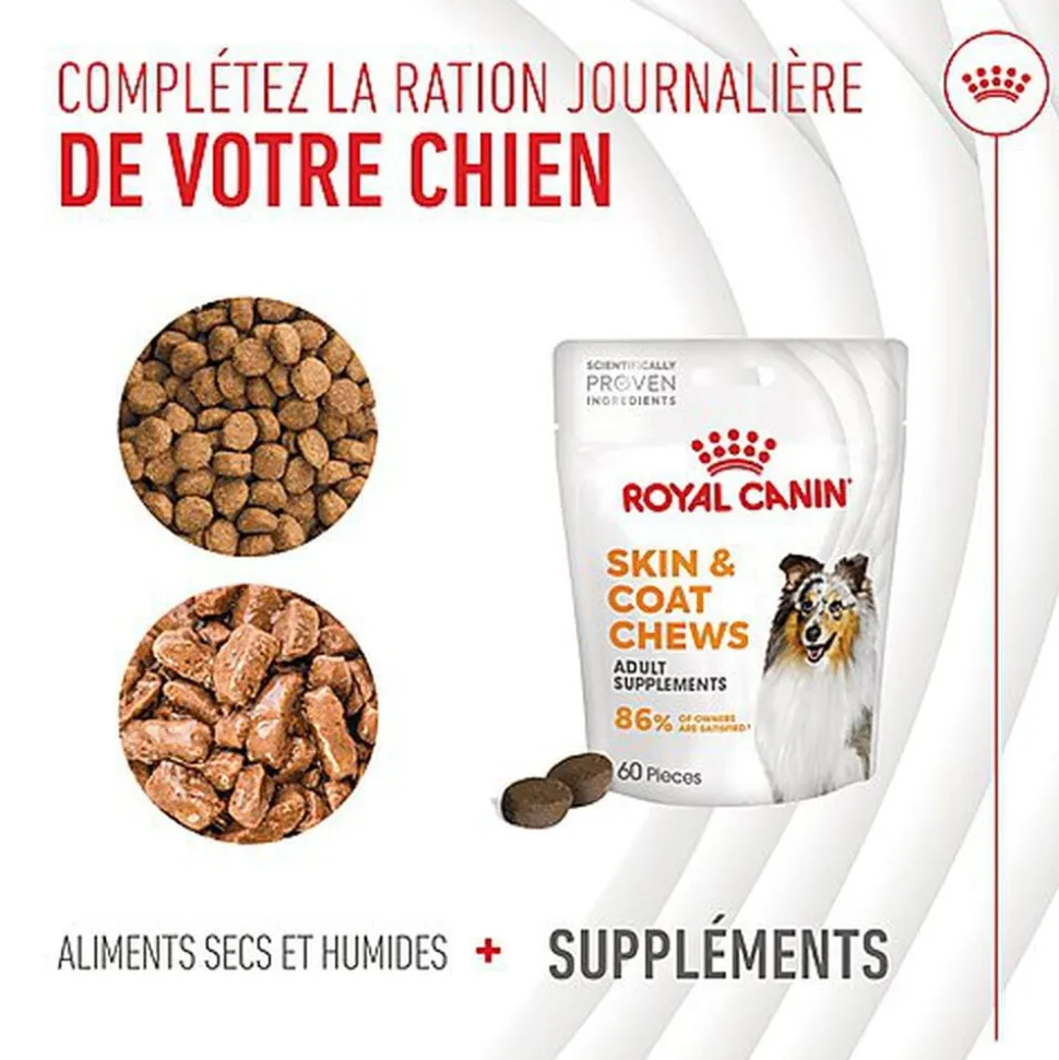 Royal Canin - Aliment Complémentaire Adult Skin & Coat Chews pour Chiens - 240g
