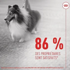 Royal Canin - Aliment Complémentaire Adult Skin & Coat Chews pour Chiens - 240g
