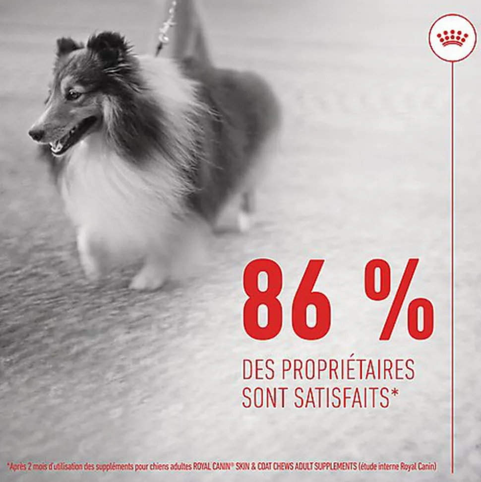 Royal Canin - Aliment Complémentaire Adult Skin & Coat Chews pour Chiens - 240g