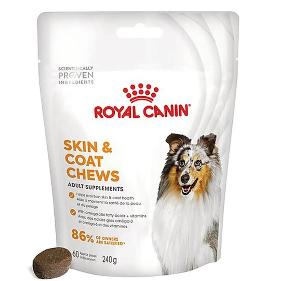 Royal Canin - Aliment Complémentaire Adult Skin & Coat Chews pour Chiens - 240g