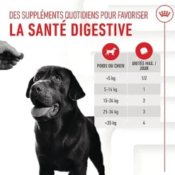 Royal Canin - Aliment Complémentaire Adult Digestion Chews pour Chiens - 160g