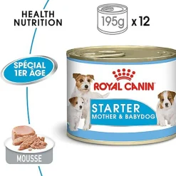 Royal Canin - Boîte Starter Mousse Mother & Babydog en Patée Pour Chien