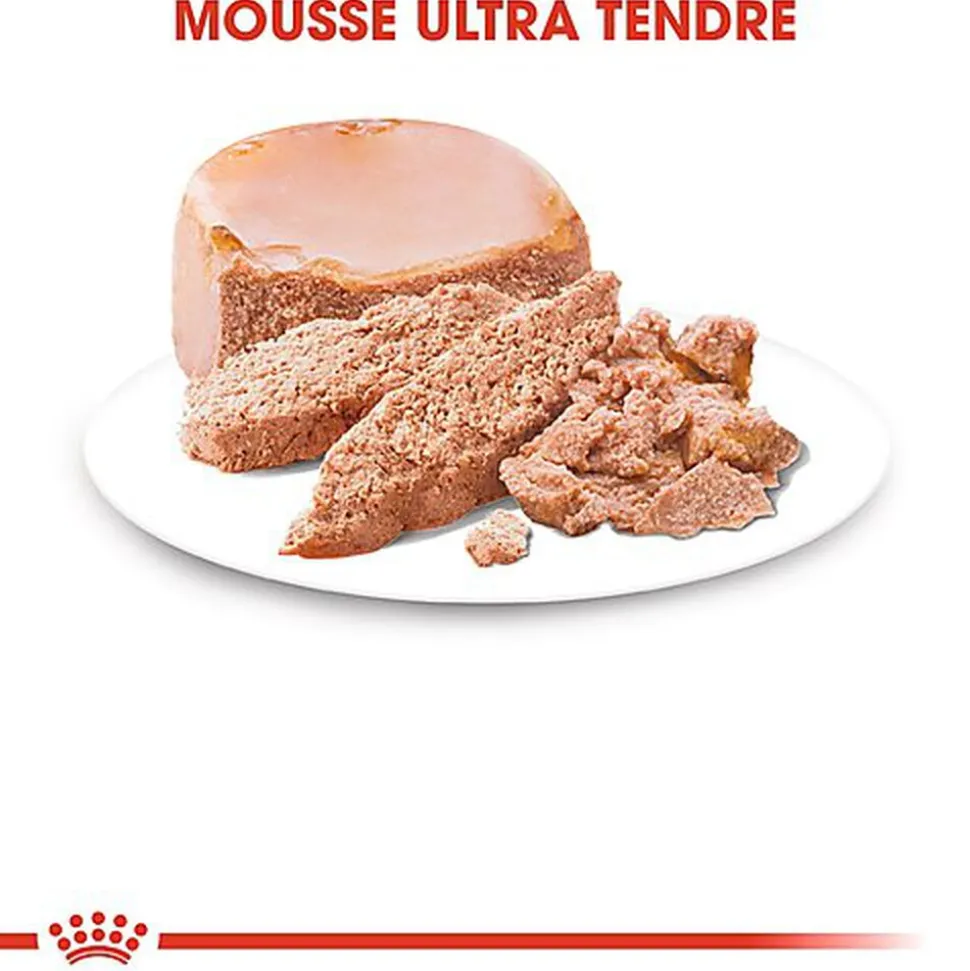 Royal Canin - Boîte Starter Mousse Mother & Babydog en Patée Pour Chien
