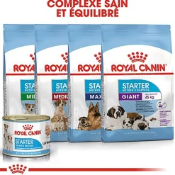 Royal Canin - Boîte Starter Mousse Mother & Babydog en Patée Pour Chien