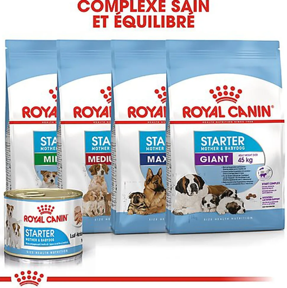 Royal Canin - Boîte Starter Mousse Mother & Babydog en Patée Pour Chien