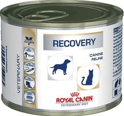 Royal Canin - Boîte Veterinary Diet Recovery pour Chien et Chat - 195g