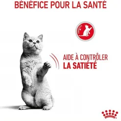 Royal Canin - Croquettes Appetite Control Care pour Chat