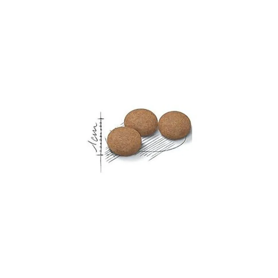 Royal Canin - Croquettes Ageing Sterilised 12+ pour Chat Senior - 400g