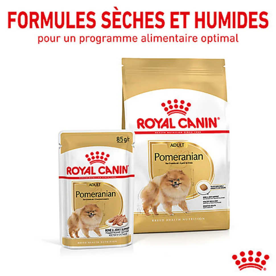 Royal Canin - Croquettes Adult Spitz Nain Pour Chien