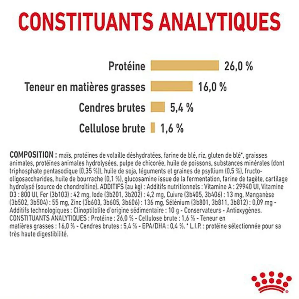 Royal Canin - Croquettes Adult Spitz Nain Pour Chien