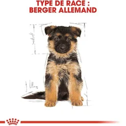 Royal Canin - Croquettes Berger Allemand Junior pour Chiot - 12Kg