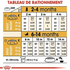 Royal Canin - Croquettes Berger Allemand Junior pour Chiot - 12Kg