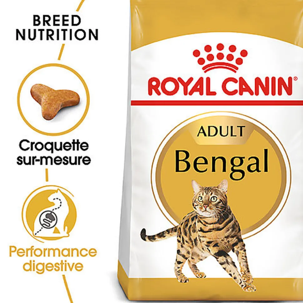 Royal Canin - Croquettes BENGAL ADULT Pour Chat