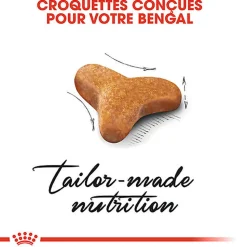 Royal Canin - Croquettes BENGAL ADULT Pour Chat