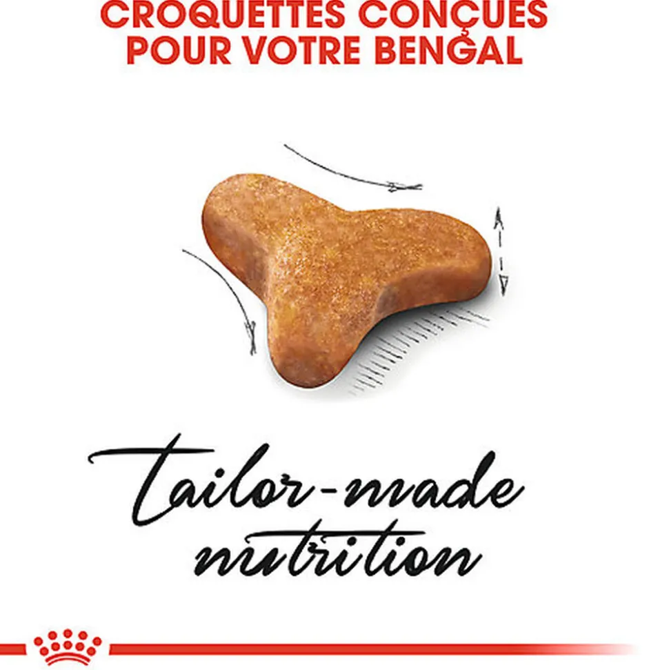 Royal Canin - Croquettes BENGAL ADULT Pour Chat