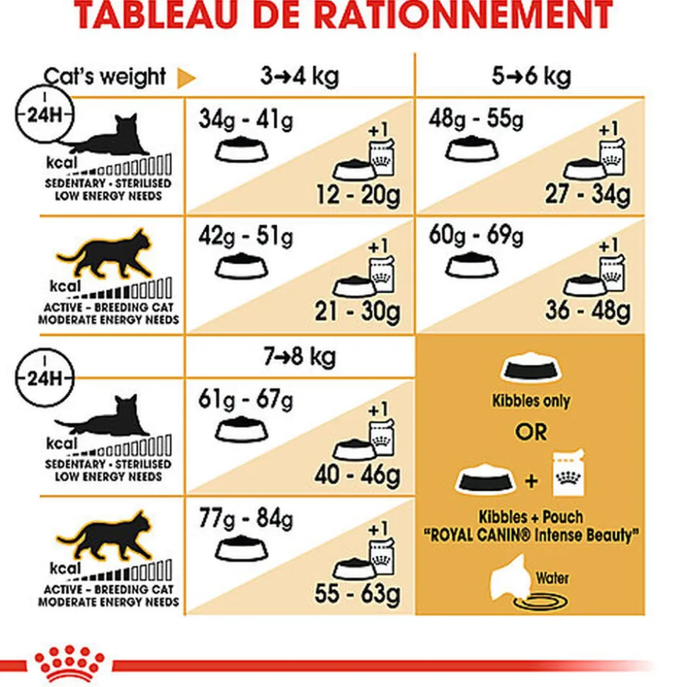Royal Canin - Croquettes BENGAL ADULT Pour Chat