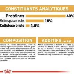 Royal Canin - Croquettes BENGAL ADULT Pour Chat