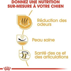 Royal Canin - Croquettes Bulldog pour Chien Adulte - 12Kg