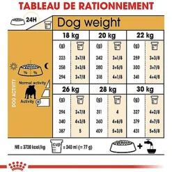 Royal Canin - Croquettes Bulldog pour Chien Adulte - 12Kg