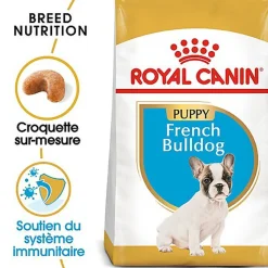 Royal Canin - Croquettes Bouledogue Français Junior pour Chiot