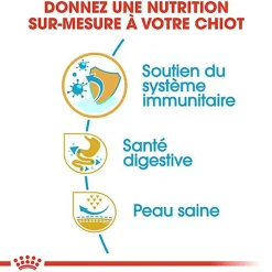 Royal Canin - Croquettes Bouledogue Français Junior pour Chiot