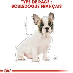 Royal Canin - Croquettes Bouledogue Français Junior pour Chiot