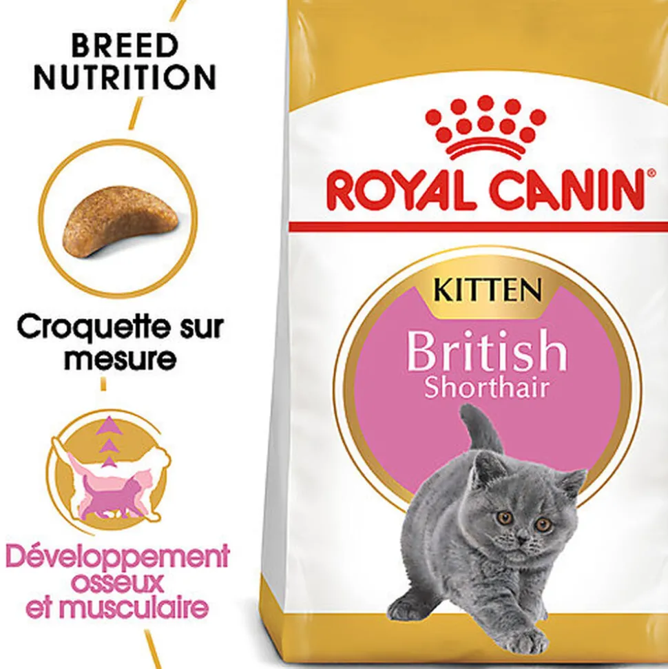 Royal Canin - Croquettes British Shorthair Kitten pour Chatons - 2Kg