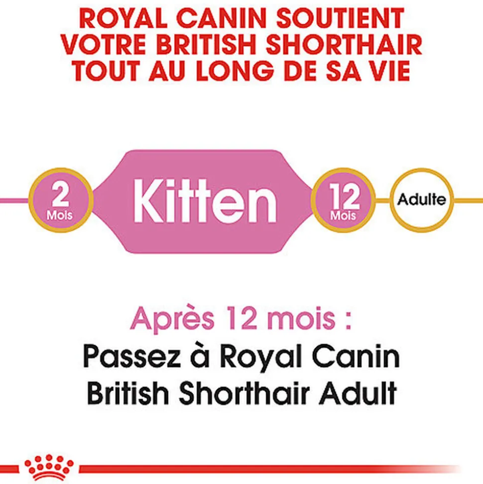 Royal Canin - Croquettes British Shorthair Kitten pour Chatons - 2Kg