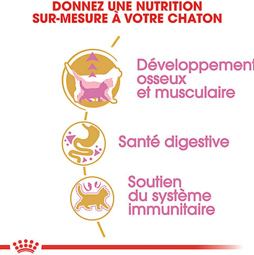 Royal Canin - Croquettes British Shorthair Kitten pour Chatons - 2Kg