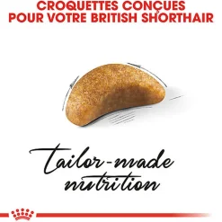 Royal Canin - Croquettes British Shorthair Kitten pour Chatons - 2Kg