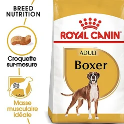 Royal Canin - Croquettes Boxer pour Chien Adulte - 12Kg