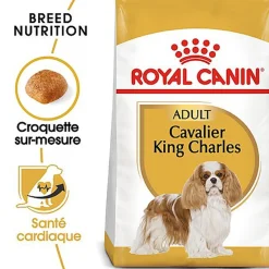 Royal Canin - Croquettes Cavalier King Charles pour Chien Adulte