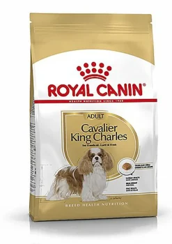 Royal Canin - Croquettes Cavalier King Charles pour Chien Adulte