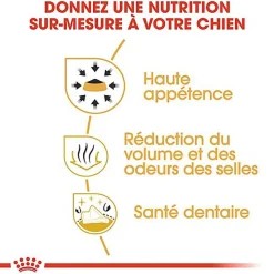 Royal Canin - Croquettes Chihuahua pour Chien Adulte