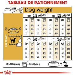 Royal Canin - Croquettes Chihuahua pour Chien Adulte