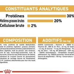 Royal Canin - Croquettes Chihuahua pour Chien Adulte